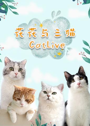 花花与三猫catlive海报剧照