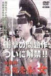 北朝鮮高級売春女海报剧照