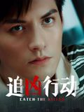 追凶行动海报剧照