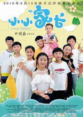 小小家长海报剧照