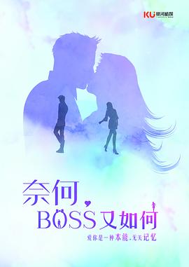 奈何BOSS又如何海报剧照