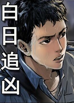 白日追凶海报剧照