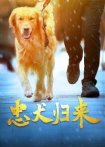 忠犬归来海报剧照
