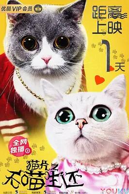 猫片之无喵生还海报剧照