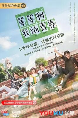 等等啊我的青春海报剧照