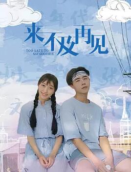 来不及再见海报剧照