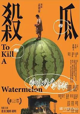 杀瓜海报剧照