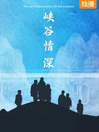 峡谷情深海报剧照
