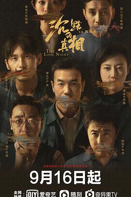 沉默的真相海报剧照