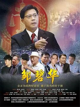 邹碧华海报剧照