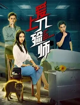 爱上入殓师海报剧照