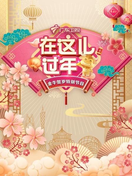 在这儿过年·广东卫视金牛贺岁特别节目海报剧照