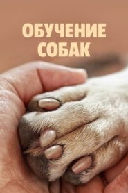 训犬大师秘笈海报剧照