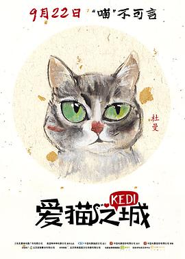 爱猫之城海报剧照