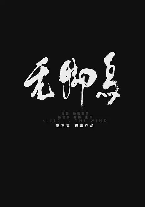 无脚鸟海报剧照
