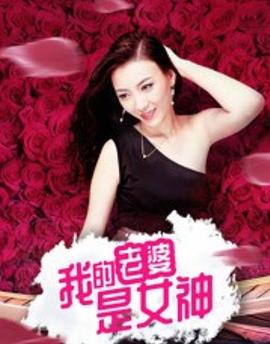 我的老婆是女神海报剧照