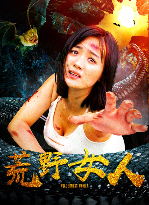 荒野女人海报剧照