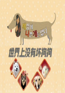 世界上没有坏狗狗(2019)海报剧照