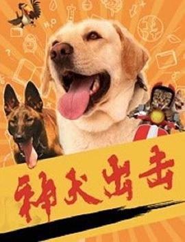 神犬出击海报剧照
