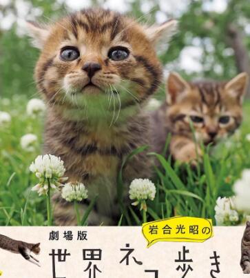 岩合光昭の猫步走世界~托斯卡纳篇海报剧照
