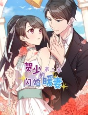 贺少的闪婚暖妻第三季海报剧照