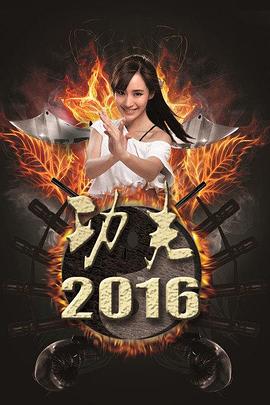 功夫2016海报剧照