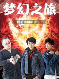 梦幻之旅海报剧照