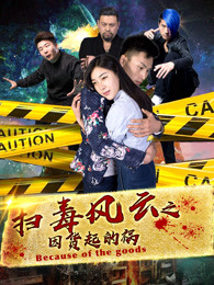 扫毒风云之因货起的祸海报剧照