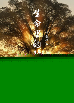 生命里的阳光海报剧照