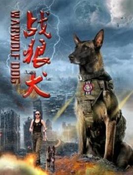 战狼犬海报剧照