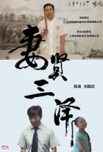 妻贤三泽海报剧照