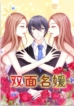 双面名媛海报剧照