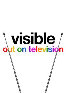 Visible Out on Television海报剧照