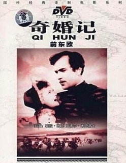奇婚记海报剧照