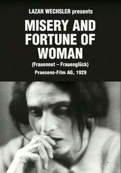 女人苦与乐海报剧照