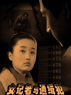 女记者与通缉犯海报剧照