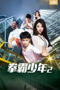 拳霸少年2海报剧照