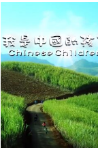 我是中国的好孩子海报剧照