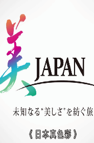 日本真色彩粤语版海报剧照