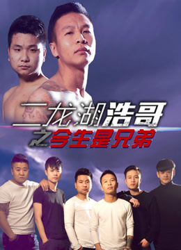二龙湖浩哥之今生是兄弟海报剧照