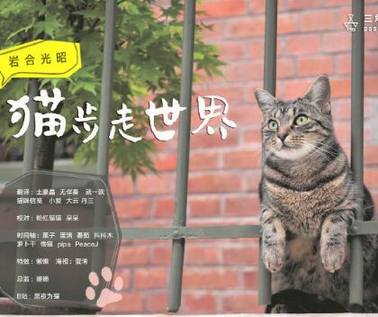 岩合光昭の猫步走世界~勃艮第篇海报剧照