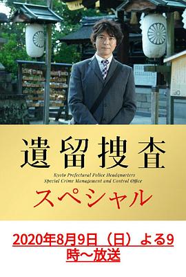 遗留搜查SP10海报剧照