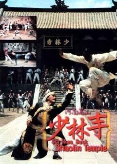 河南嵩山少林寺海报剧照