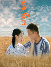 梧桐河衫恋海报剧照