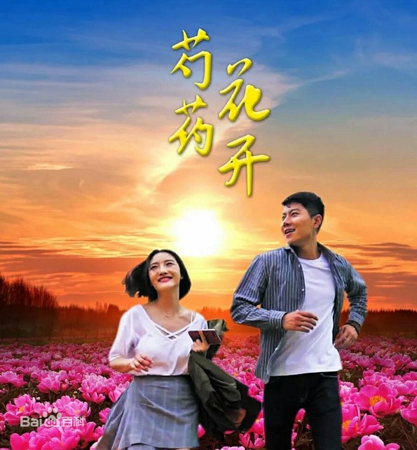 芍药花开海报剧照
