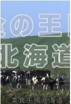 期间限定北海道海报剧照