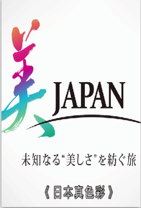 日本真色彩2021海报剧照