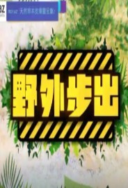 野外步出海报剧照