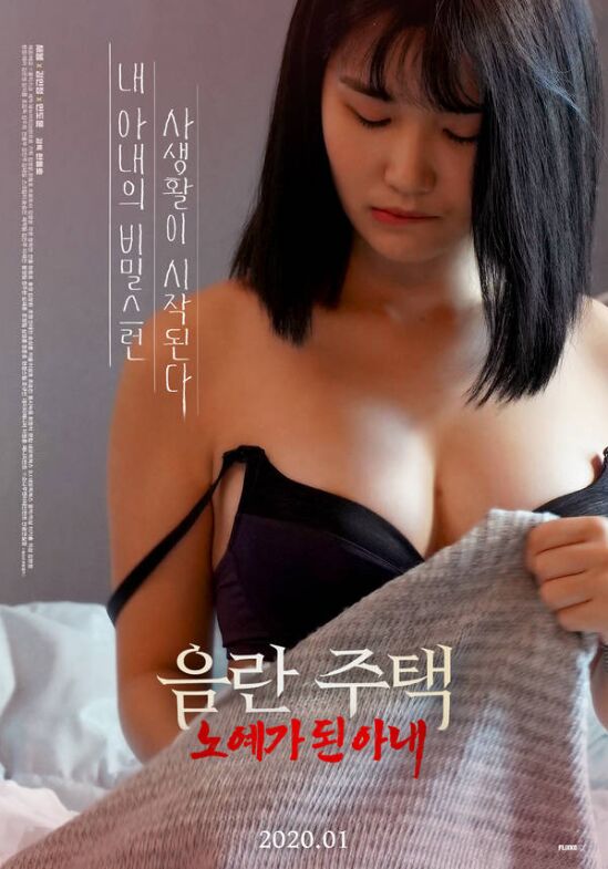 淫室奴妻海报剧照