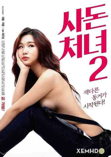 The Daughter In Law 2海报剧照